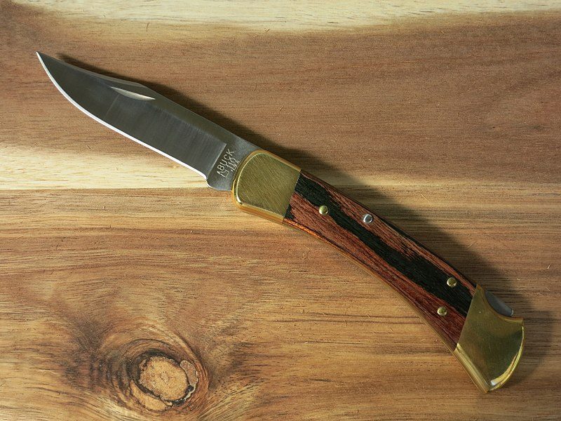 buck knife 110 folding hunter